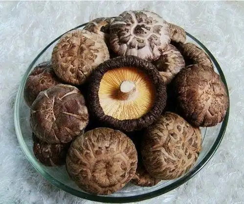 隨州香菇批發代辦