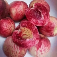 廣水胭脂紅鮮桃批發代辦